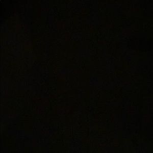 Meet your Posher, Shine